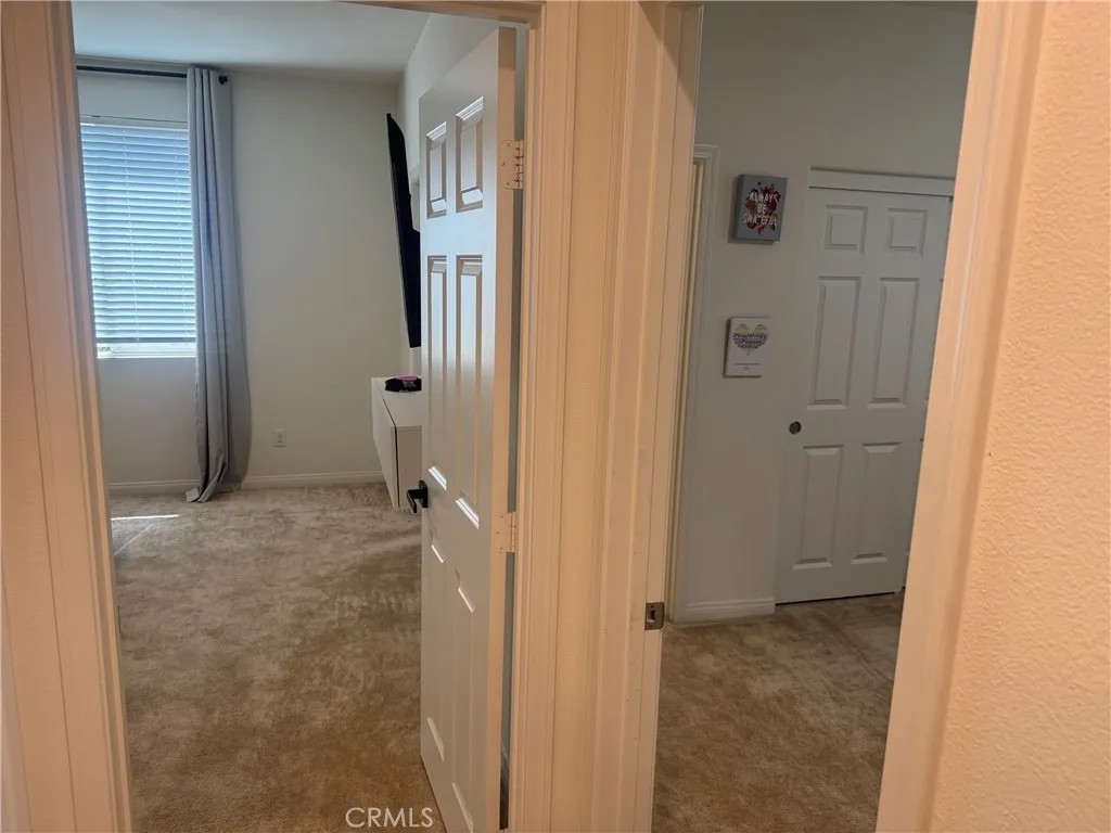 9509 Venetian