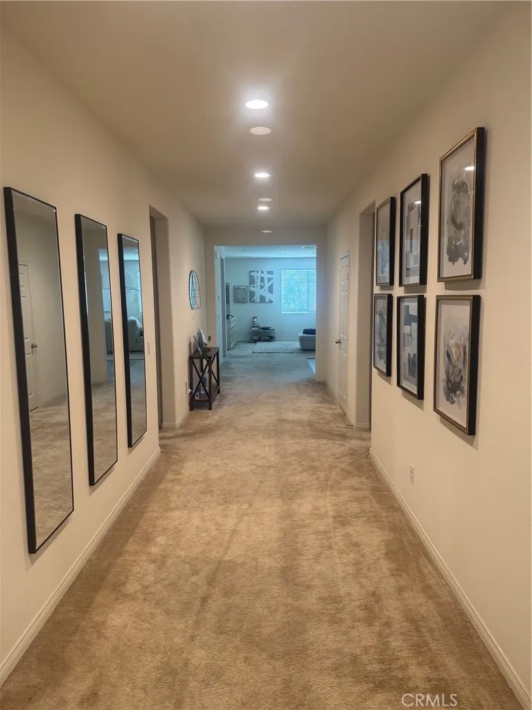9509 Venetian