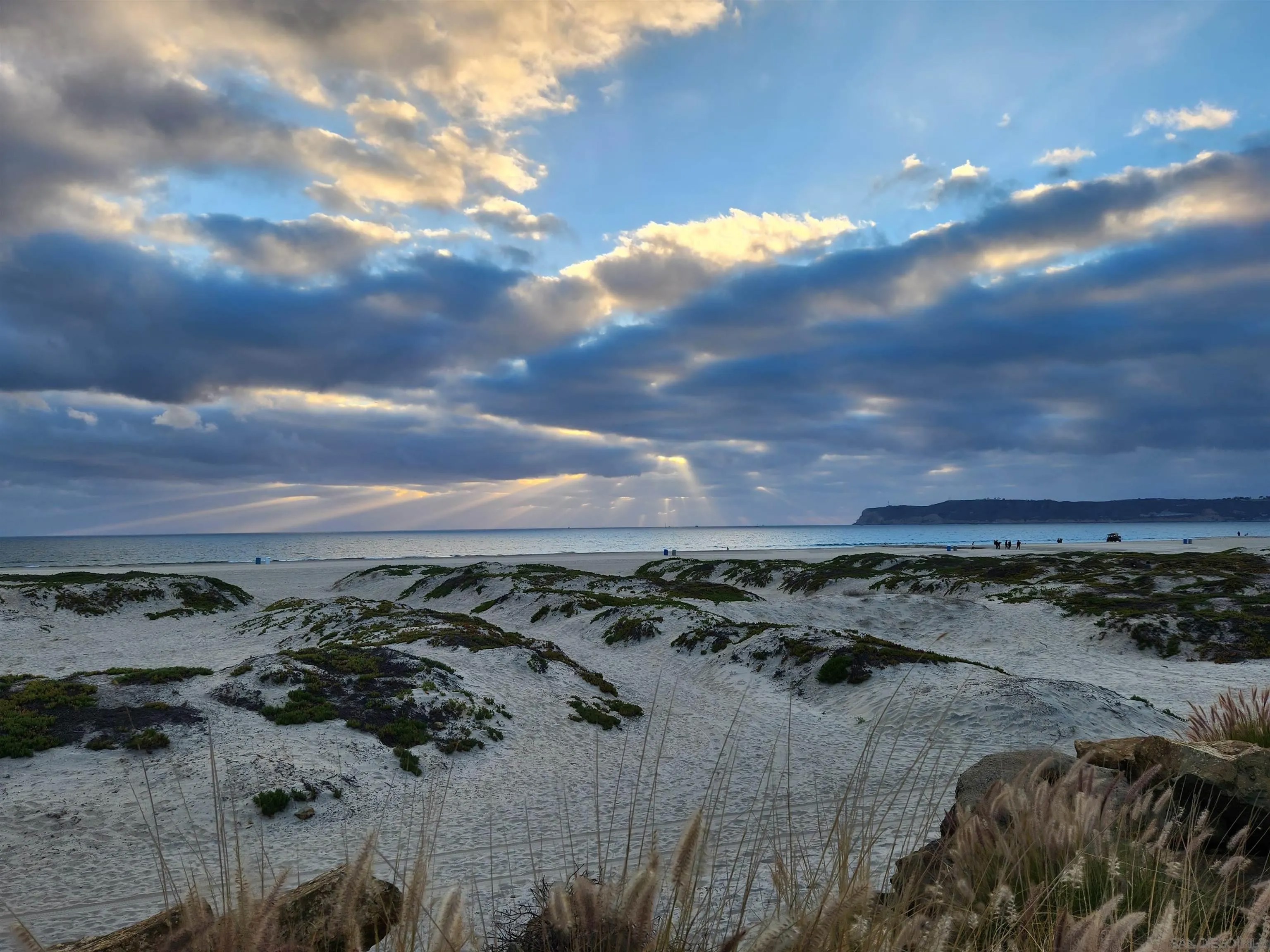 1730 Avenida Del Mundo 402