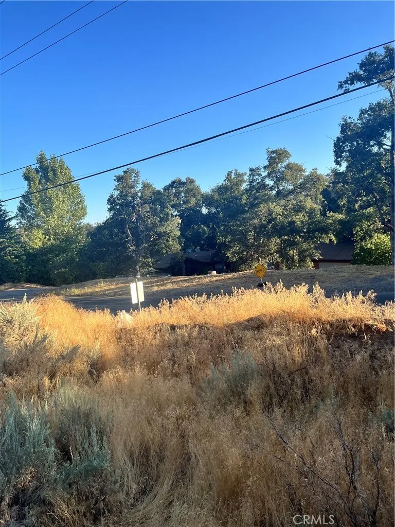 0 Alps Drive