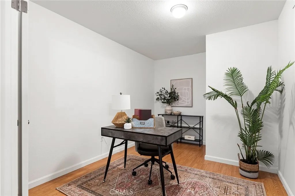 1244 Magnolia Avenue 3