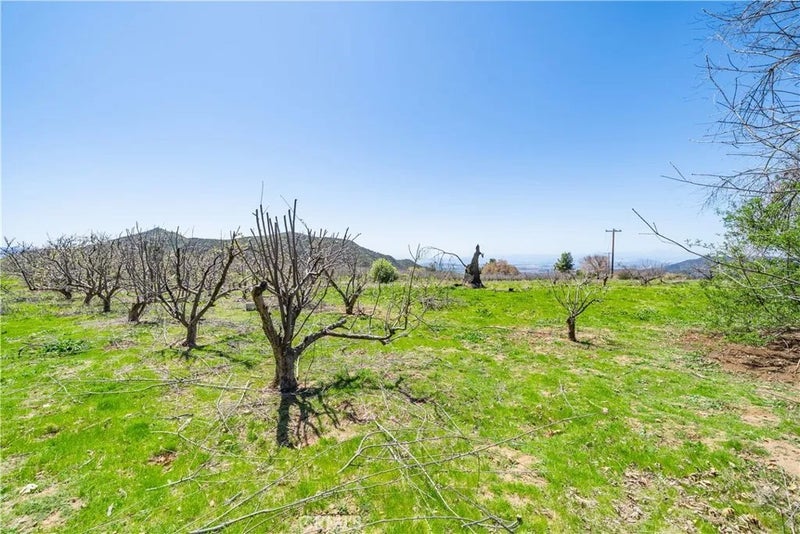 13557 Mile High Ranch