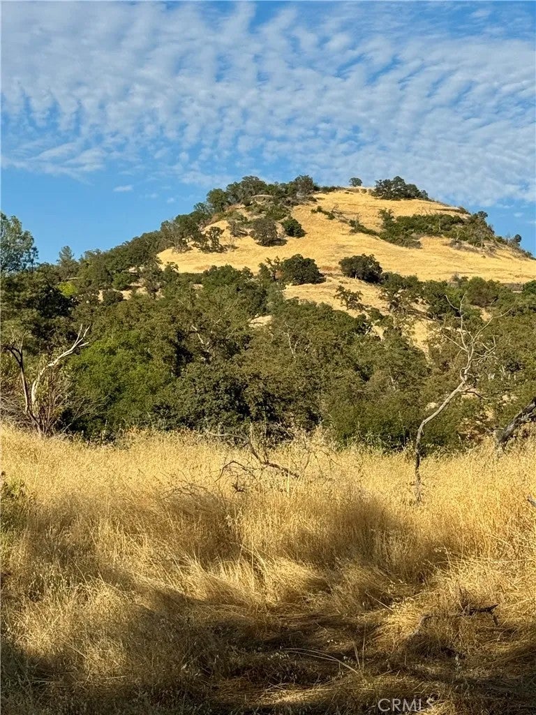 3258 Dry Creek