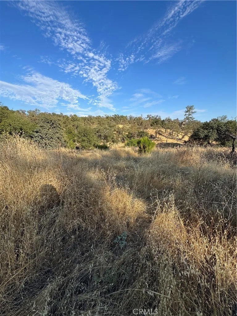 3258 Dry Creek