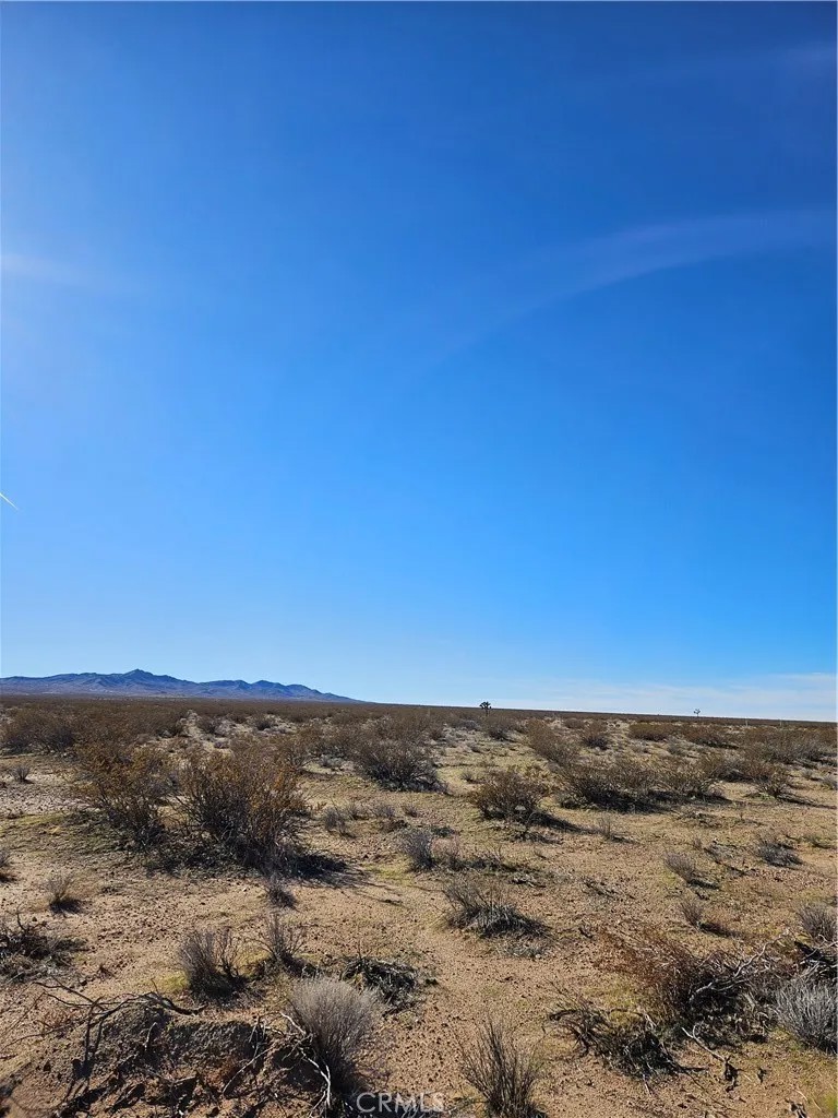 0 Buckthorne Canyon