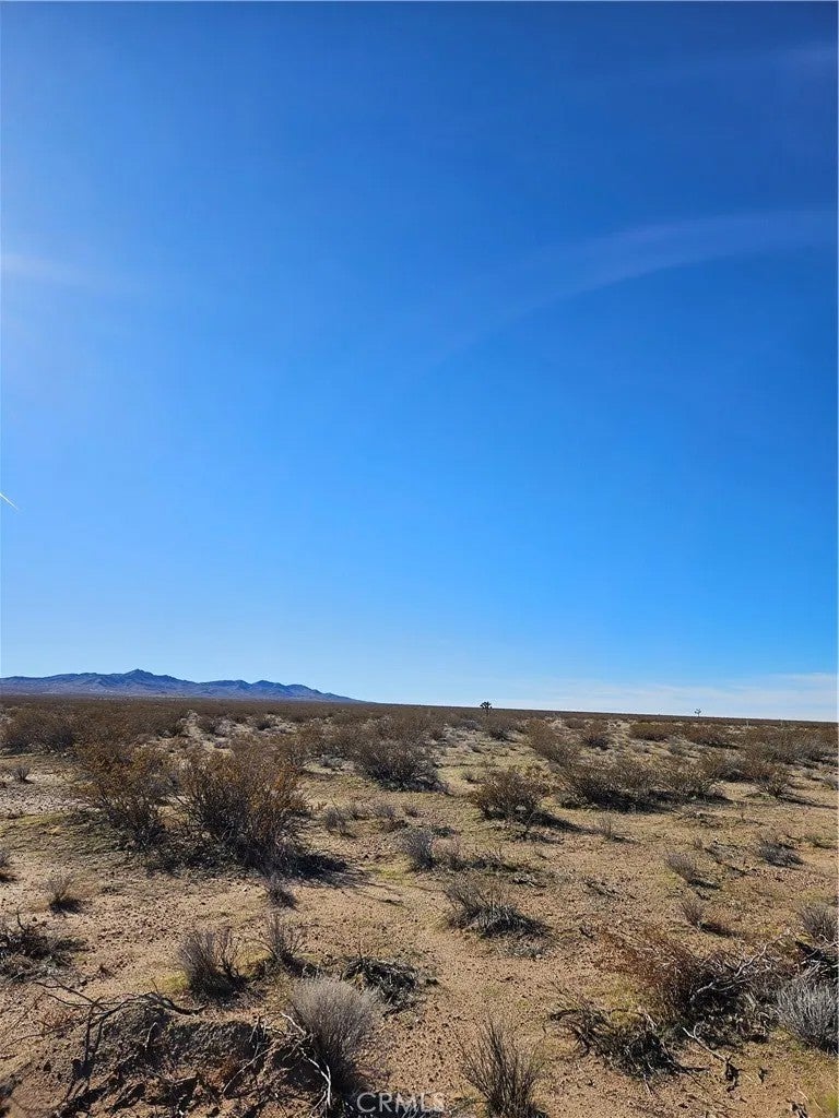 0 Buckthorne Canyon
