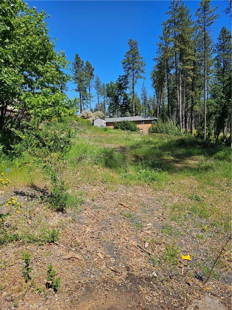 Photo of 5389 Breezewood Dr, Paradise, CA 95969 (MLS # PA26060096)