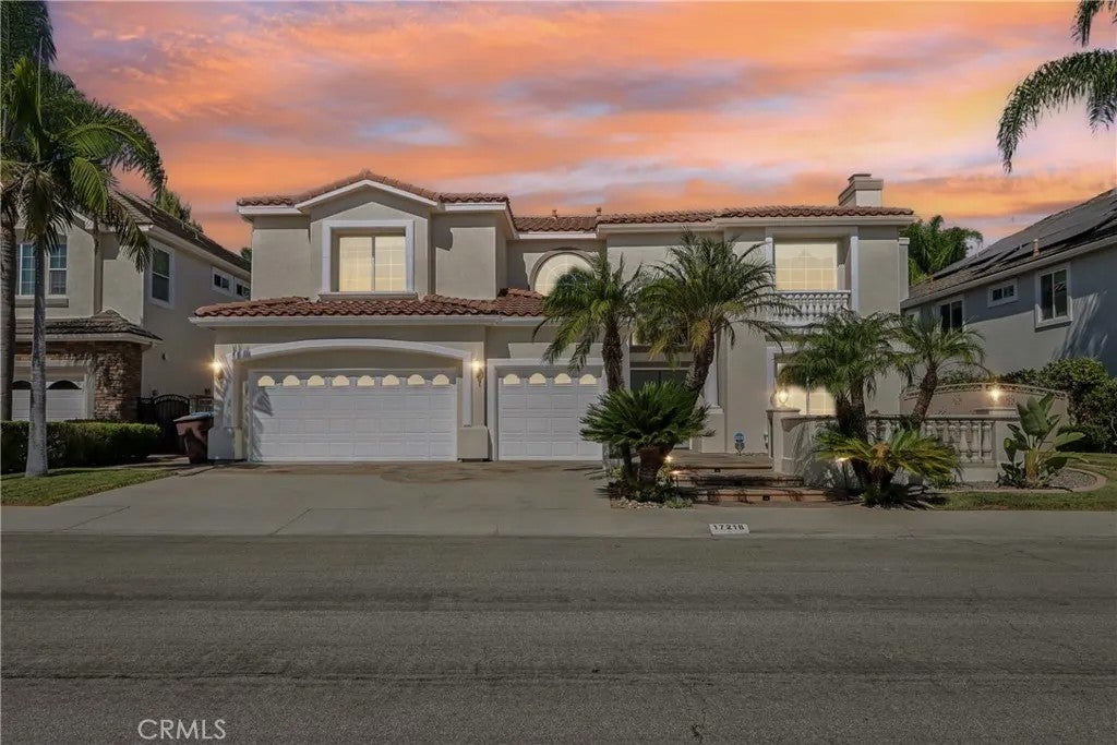 17218 Blue Spruce