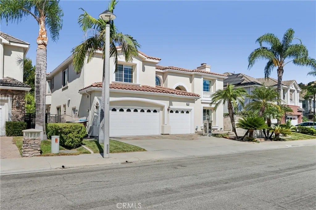 17218 Blue Spruce