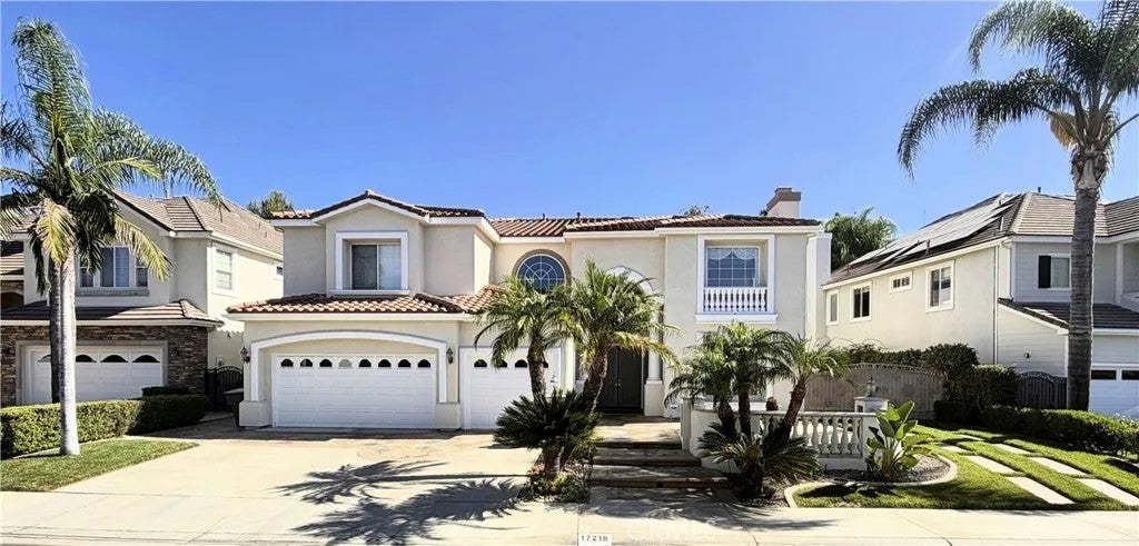 17218 Blue Spruce