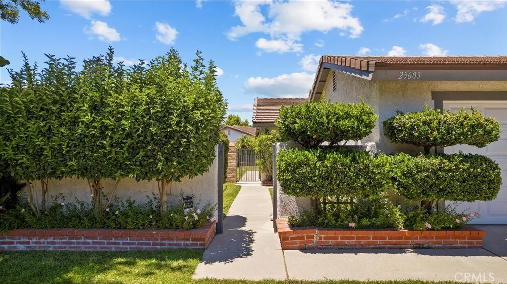 25603 Palma Alta