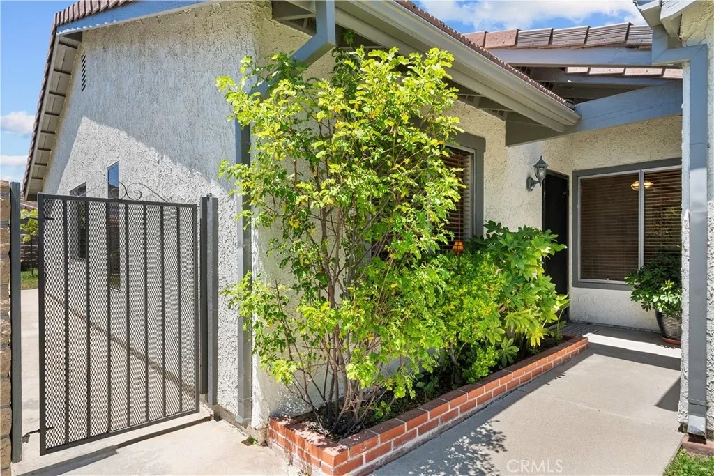 25603 Palma Alta