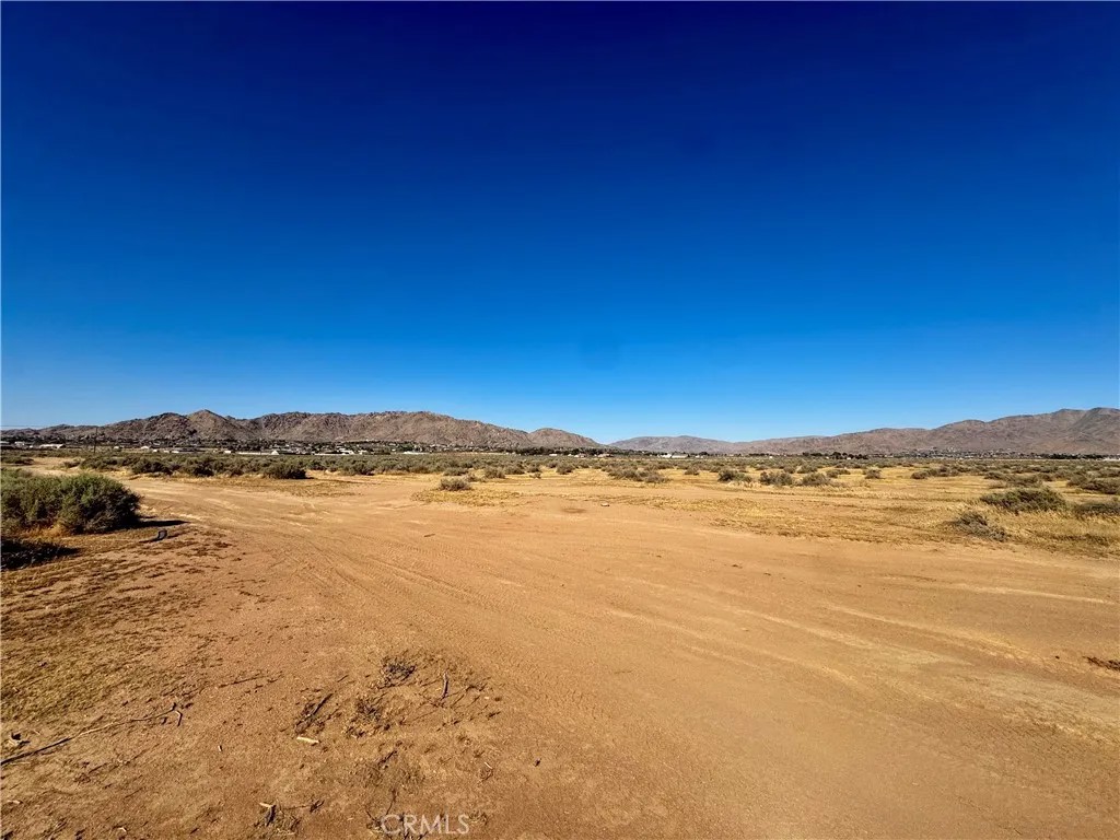 15369 Ocotilla