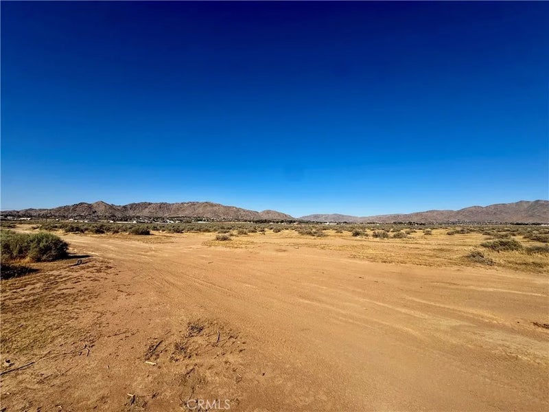 15369 Ocotilla