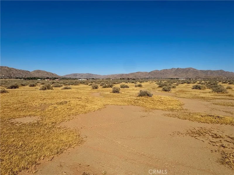 15369 Ocotilla