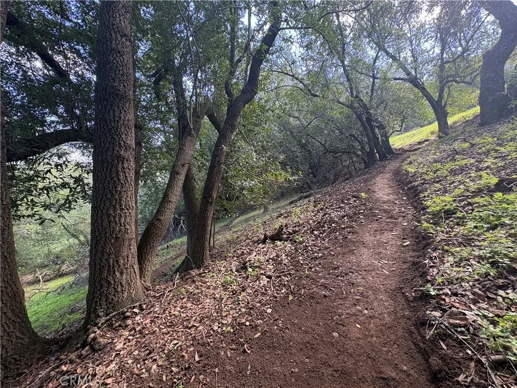 12000 San Marcos