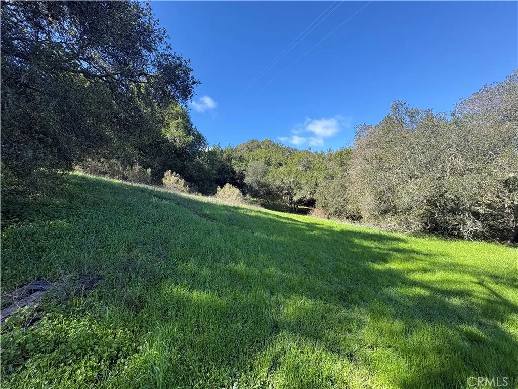 12000 San Marcos