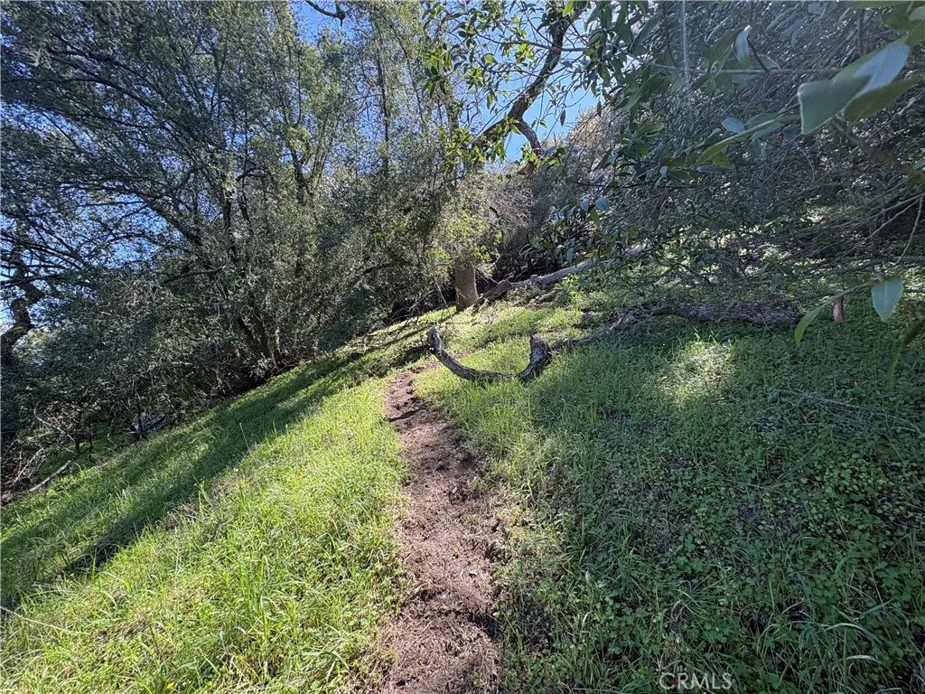 12000 San Marcos