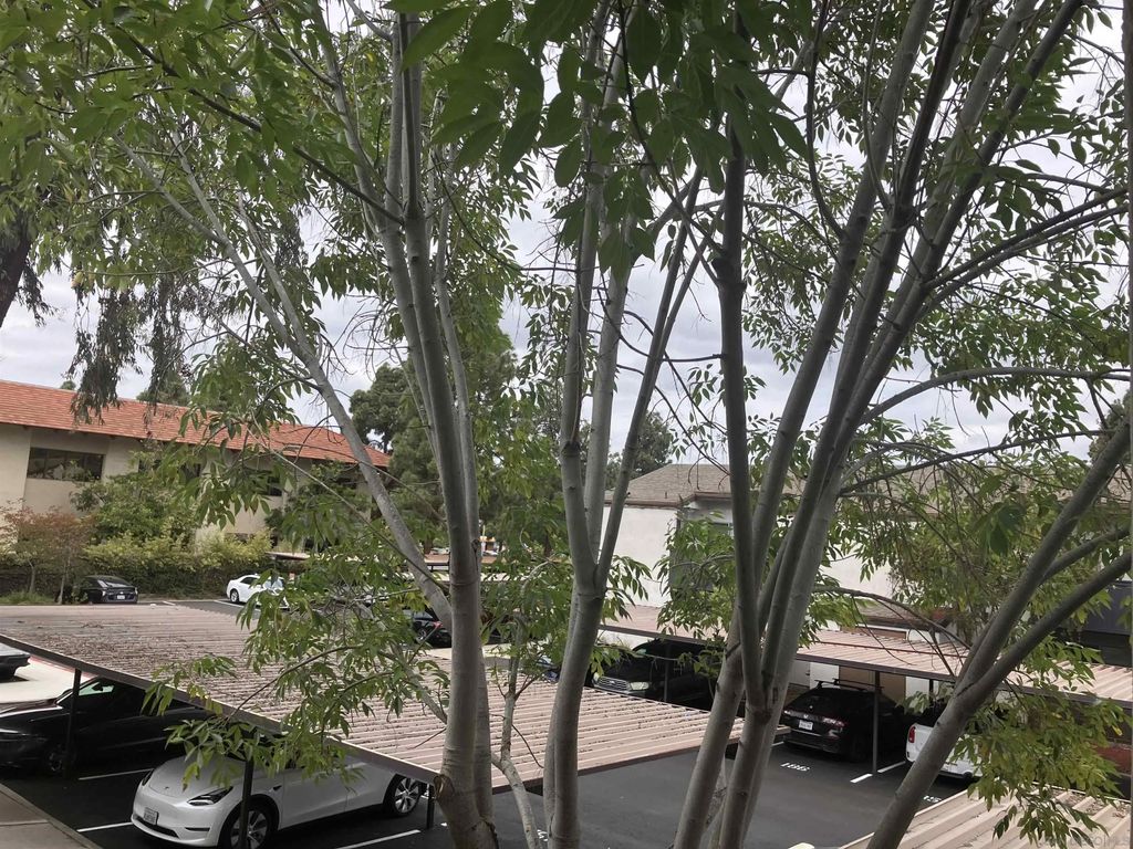 Photo of 1361 Caminito Gabaldon #D, San Diego, CA 92108 (MLS # 260010838)