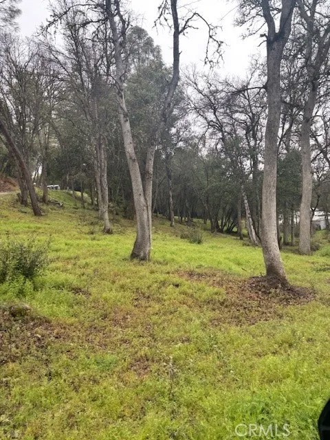 5877 Armijo