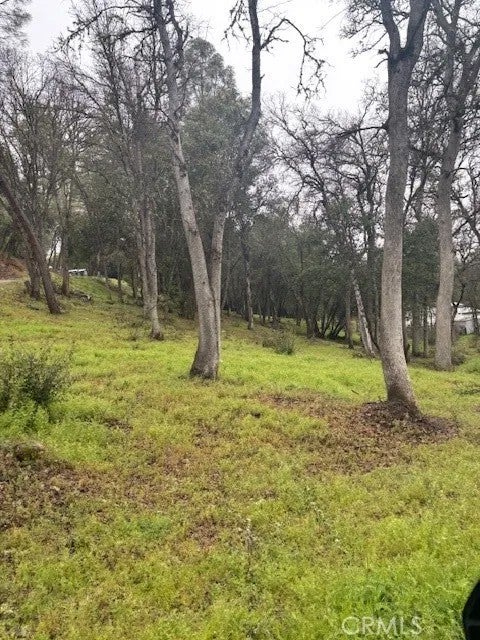 5877 Armijo