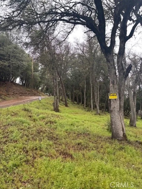 5877 Armijo