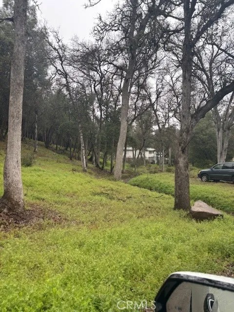 5877 Armijo