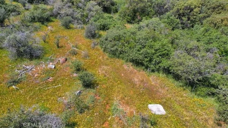 12934 Wild Acres