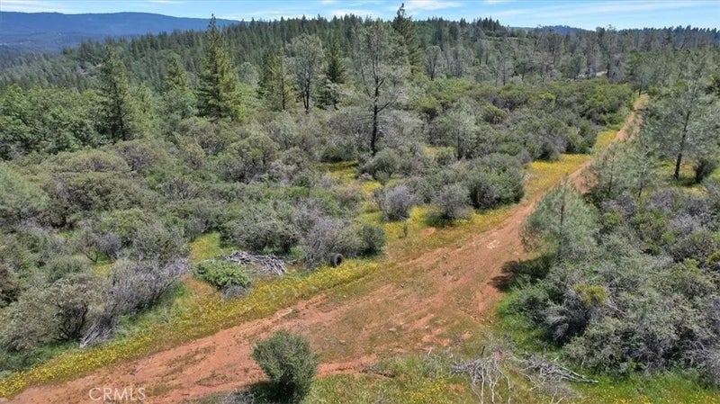 12934 Wild Acres