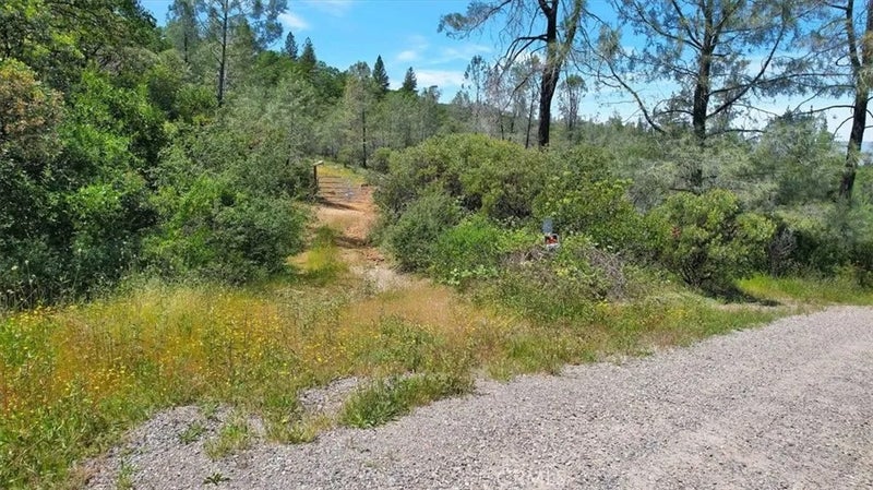 12934 Wild Acres