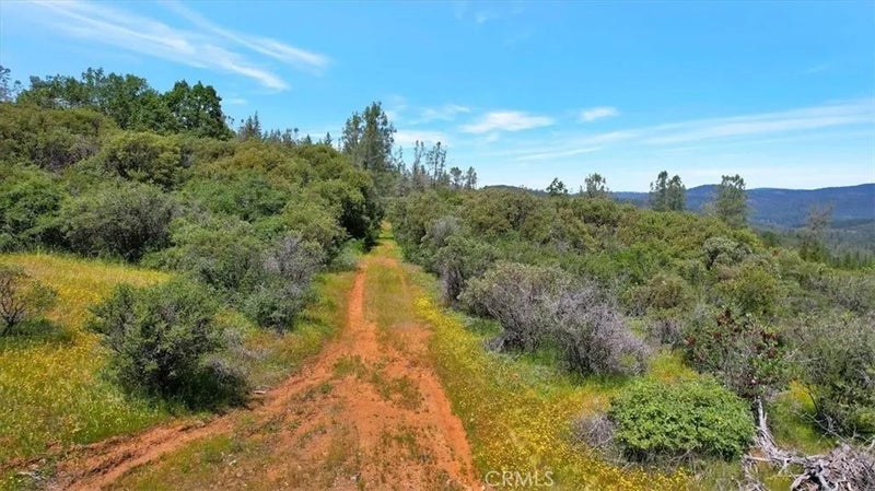 12934 Wild Acres