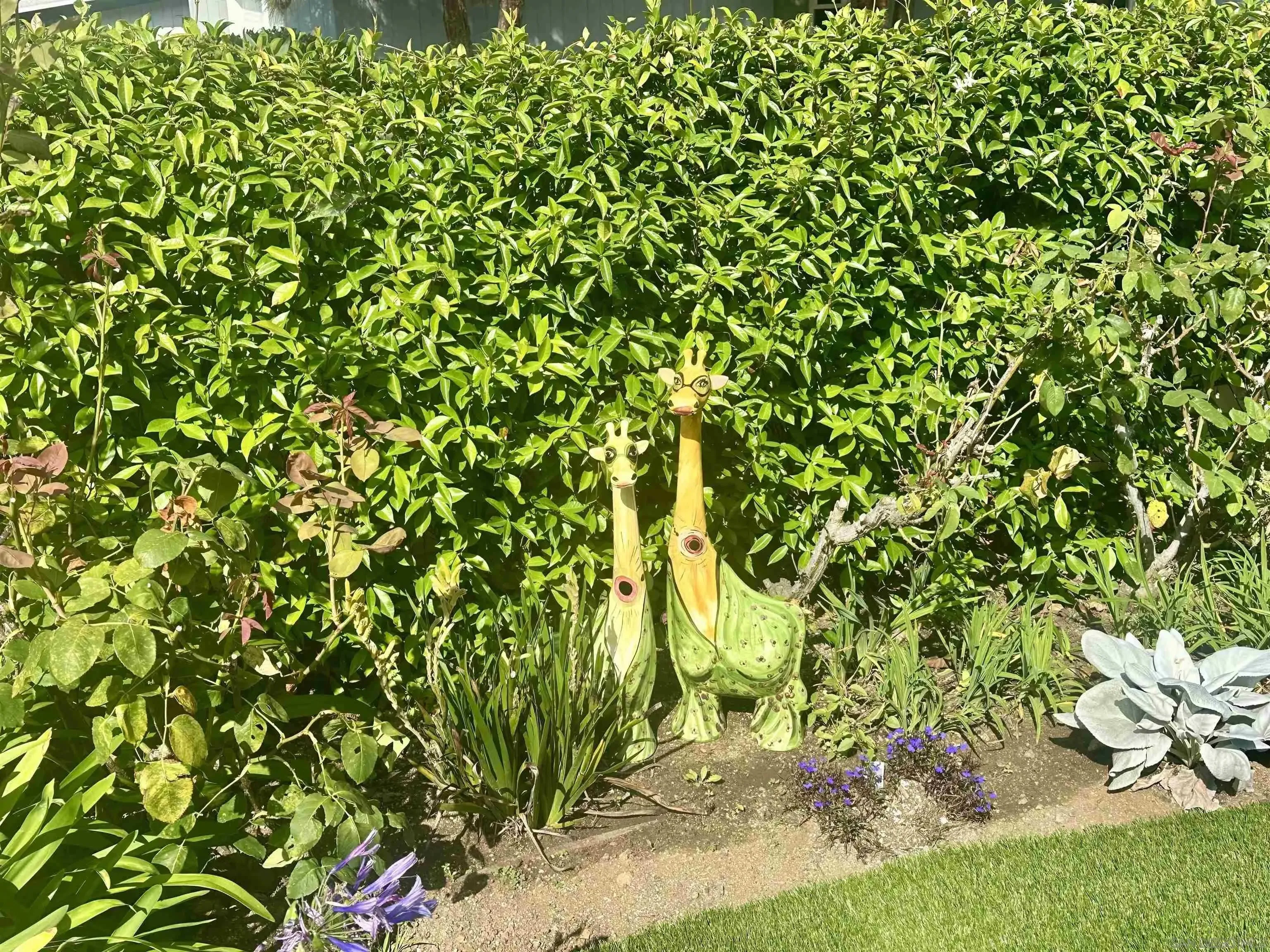 La Jolla, California 92037, United States, 3 Bedrooms Bedrooms, ,2 BathroomsBathrooms,Residential,Active,219010