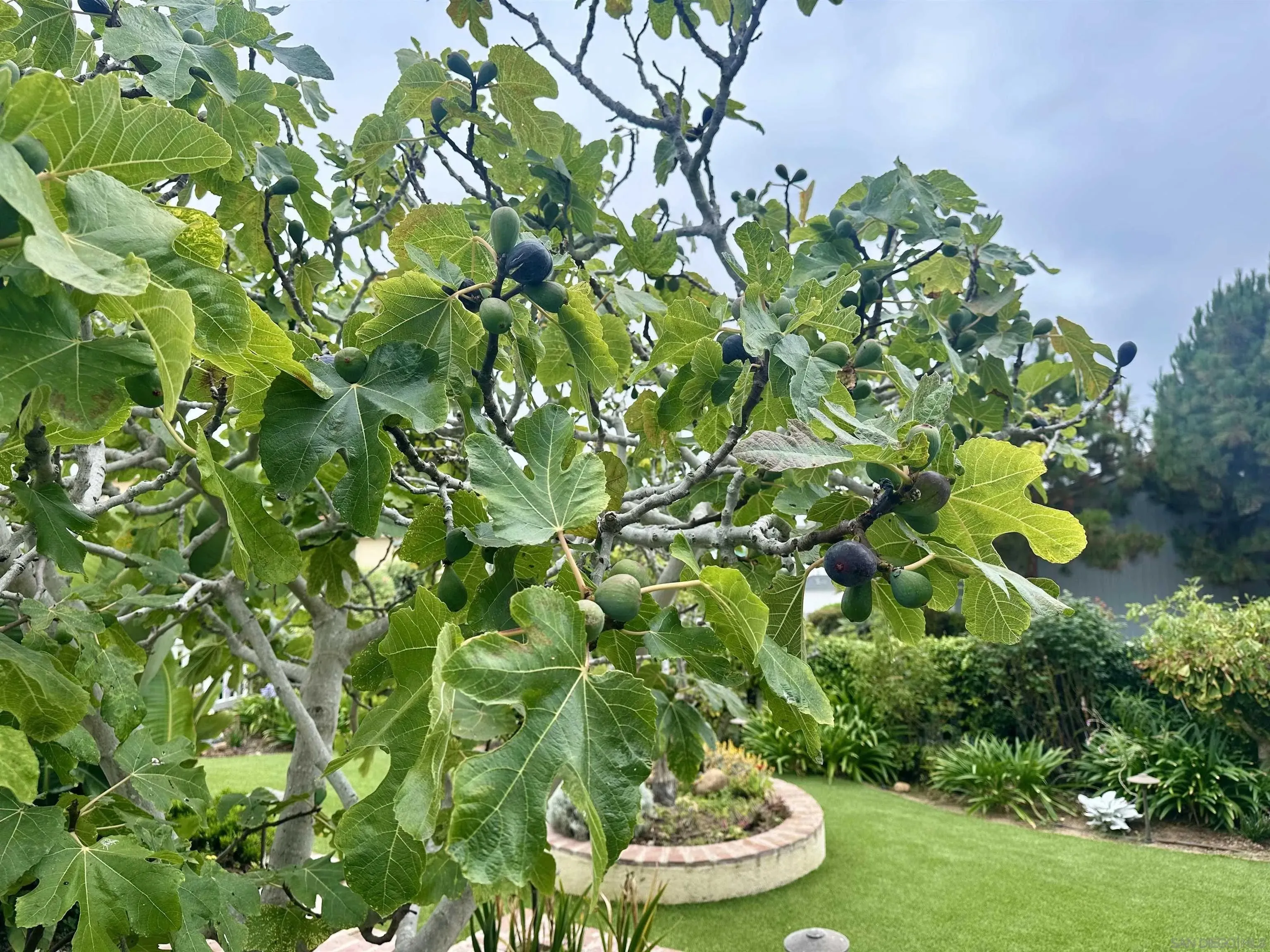 La Jolla, California 92037, United States, 3 Bedrooms Bedrooms, ,2 BathroomsBathrooms,Residential,Active,219010