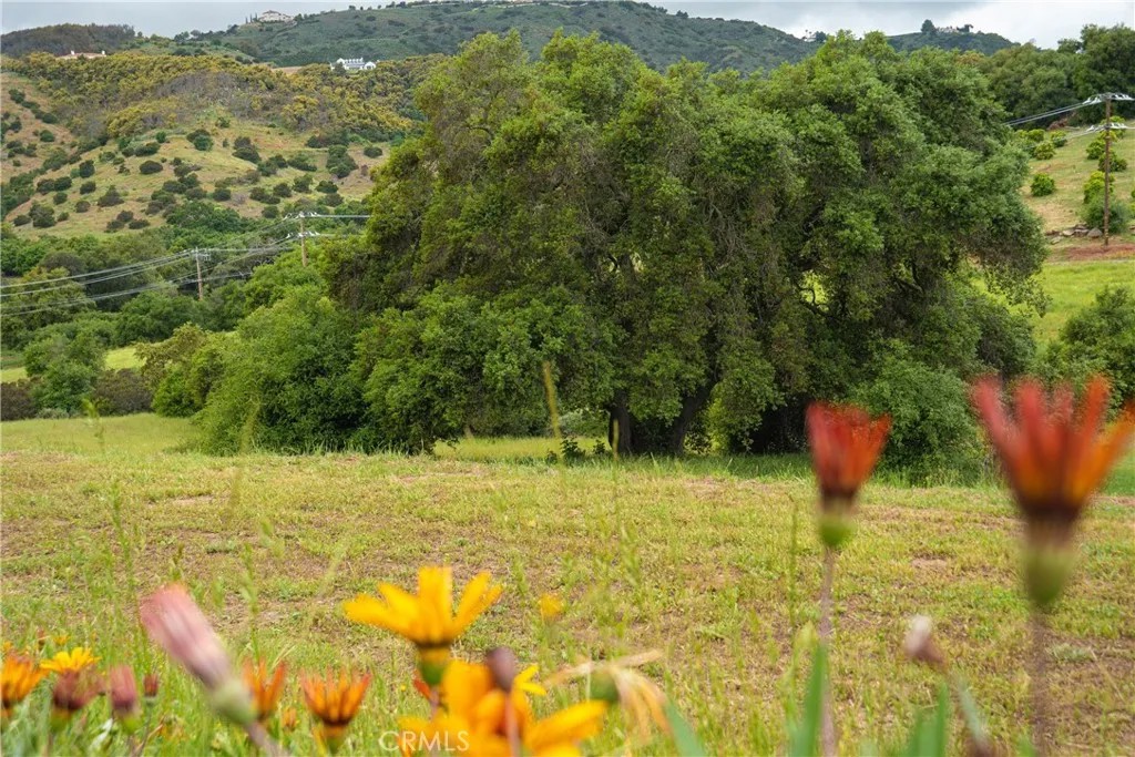 6 Camino Estribo / Via Tornado