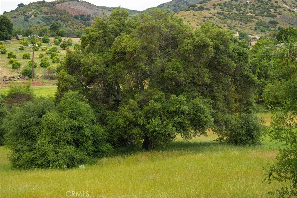 6 Camino Estribo / Via Tornado