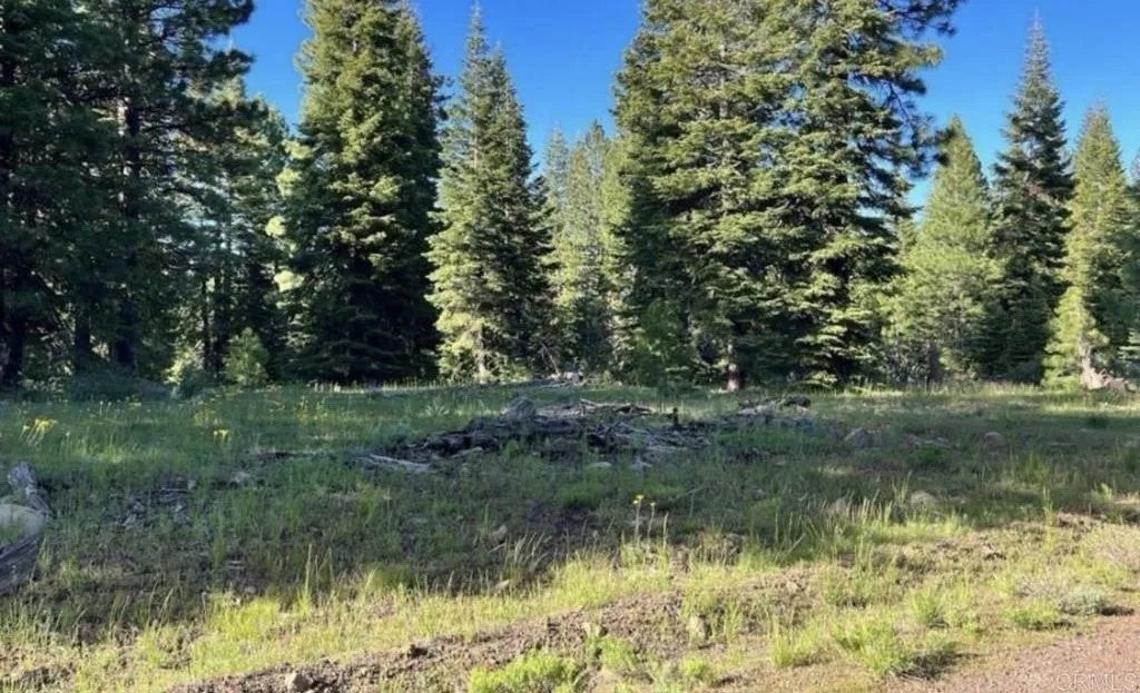 123 Glacier Dr Alturas, CA 96101