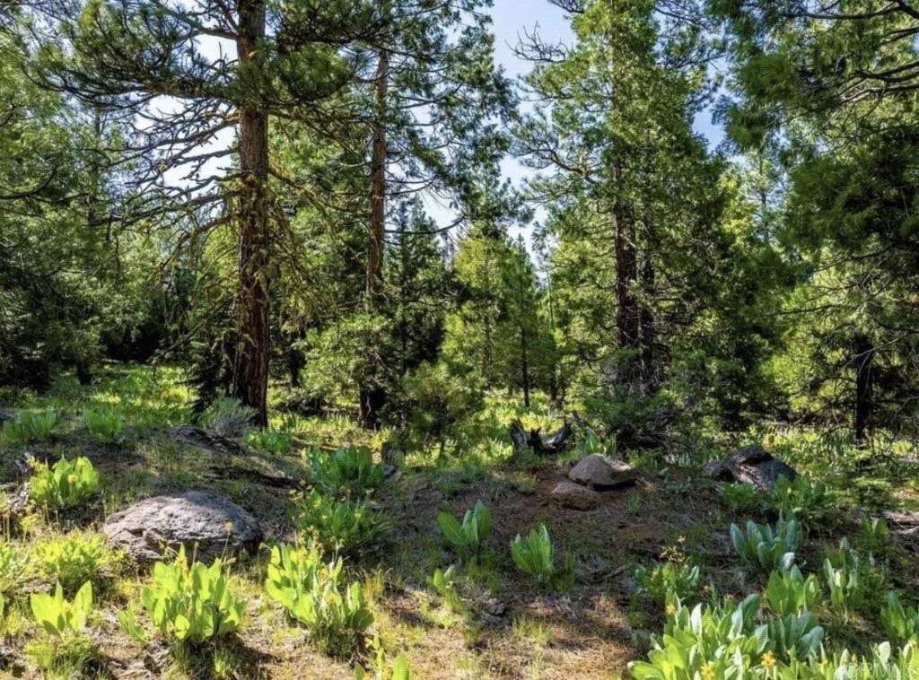 123 Glacier Dr Alturas, CA 96101