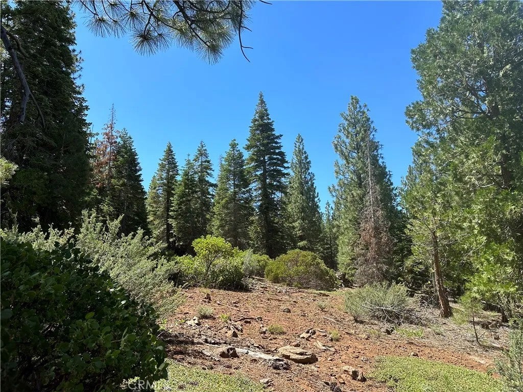 1 Canyon Creek Rd