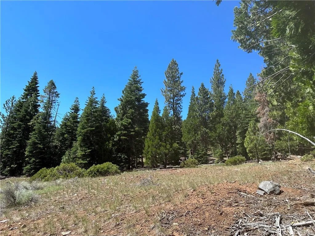 1 Canyon Creek Rd