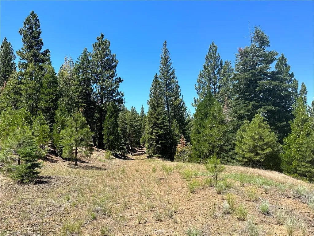 1 Canyon Creek Rd