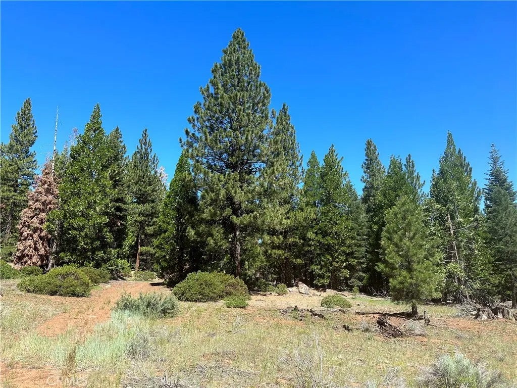 1 Canyon Creek Rd