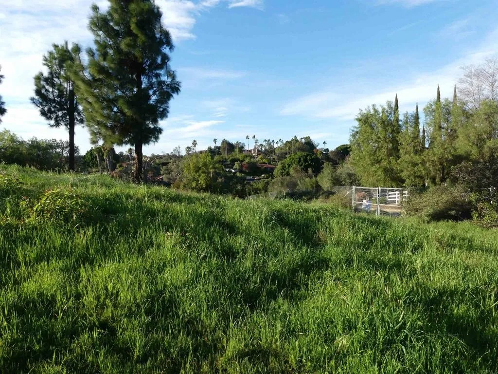 725 Yucca