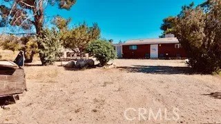 7676 Juniper