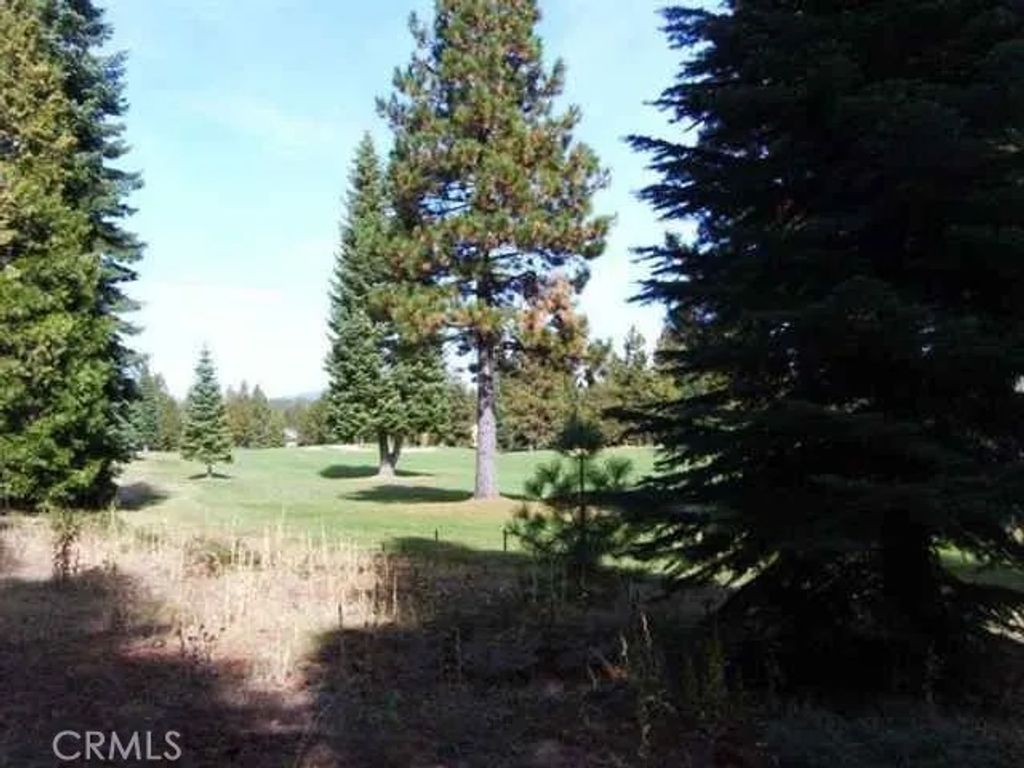 Photo of 259 Dinsmore Dr, Lake Almanor Peninsula, CA 96137 (MLS # SN26084064)