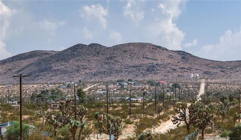 Tiny photo for 5969 Lorraine Road, Landers, CA 92285 (MLS # JT25255272)