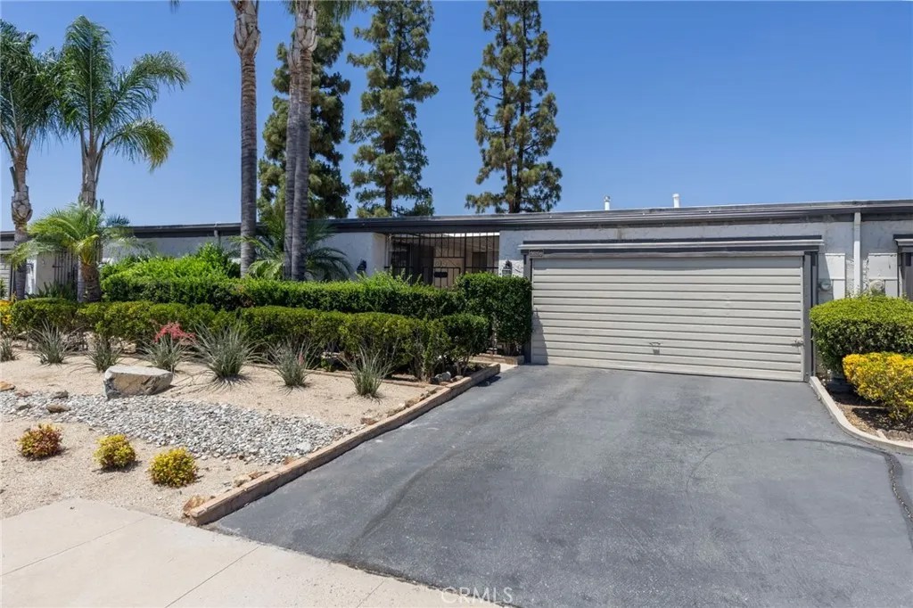 26258 Birkdale
