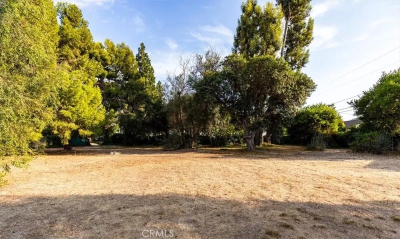 1517 Freeman