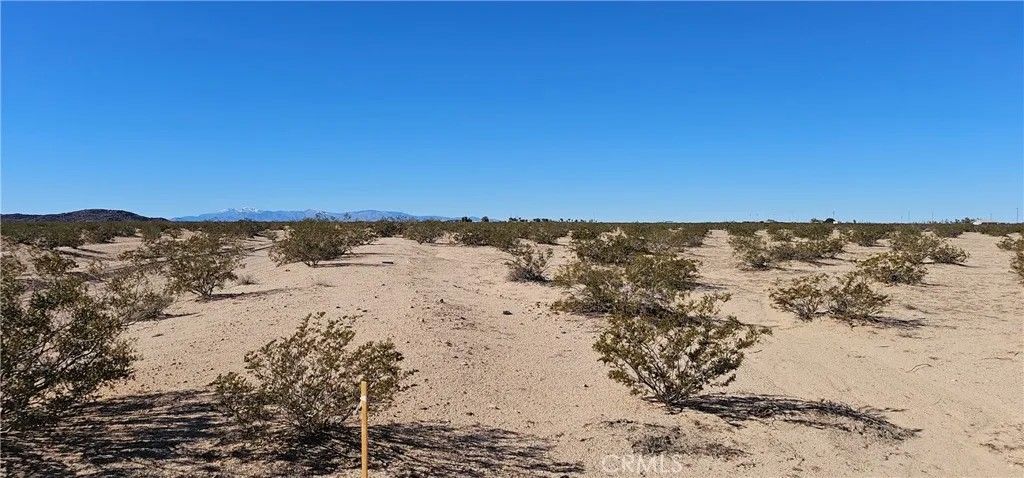 Photo of 66356 Sonora Rd, Joshua Tree, CA 92252 (MLS # JT25271624)