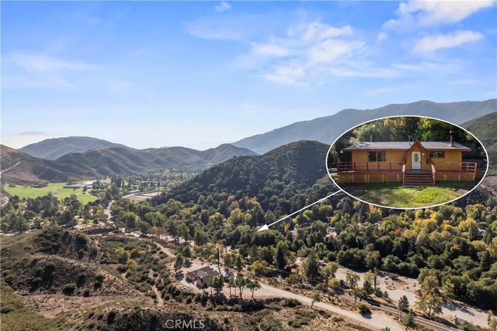 14109 Meadow