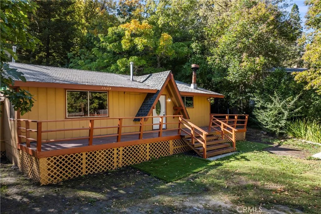 14109 Meadow